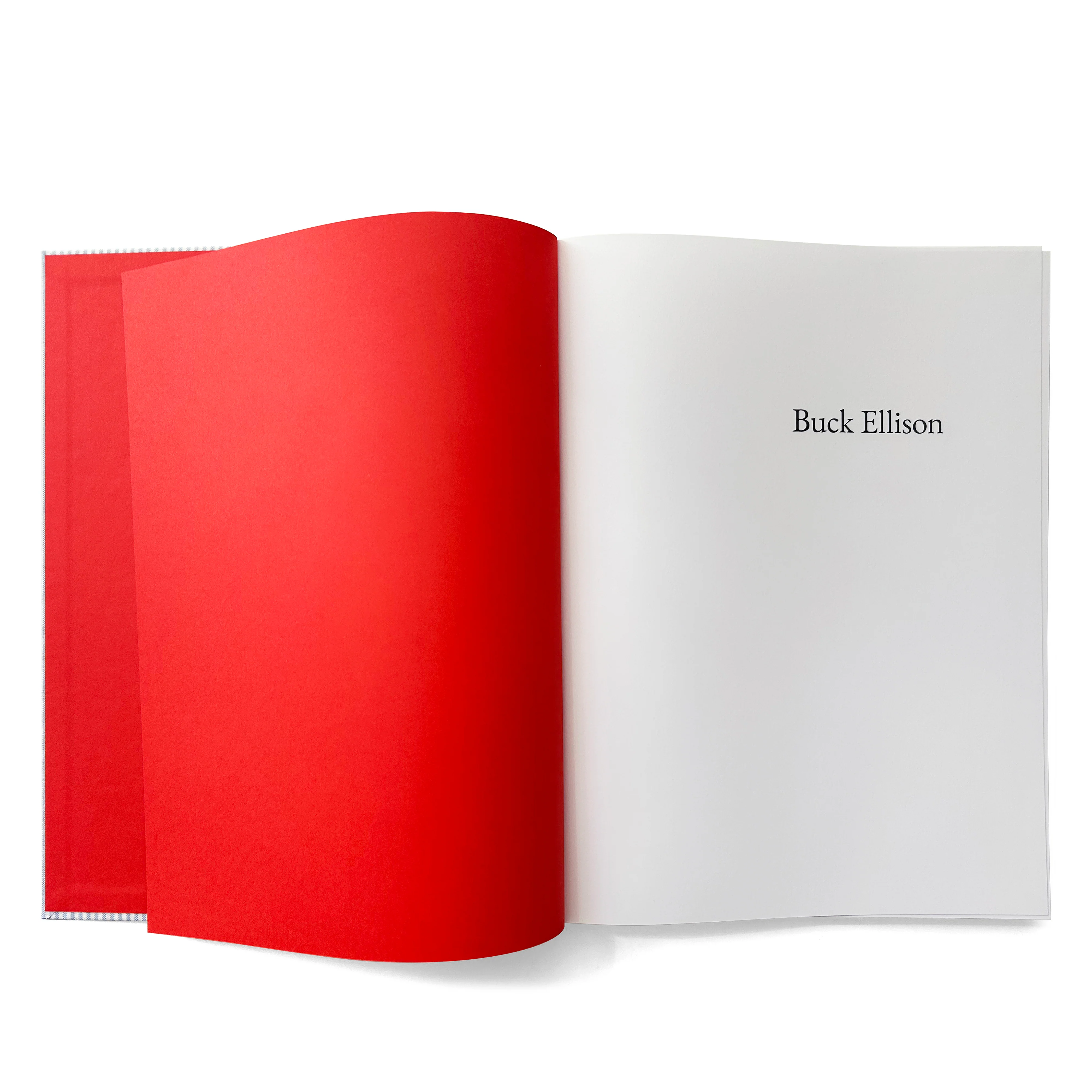Idea - Buck Ellison: Risk - Image 2