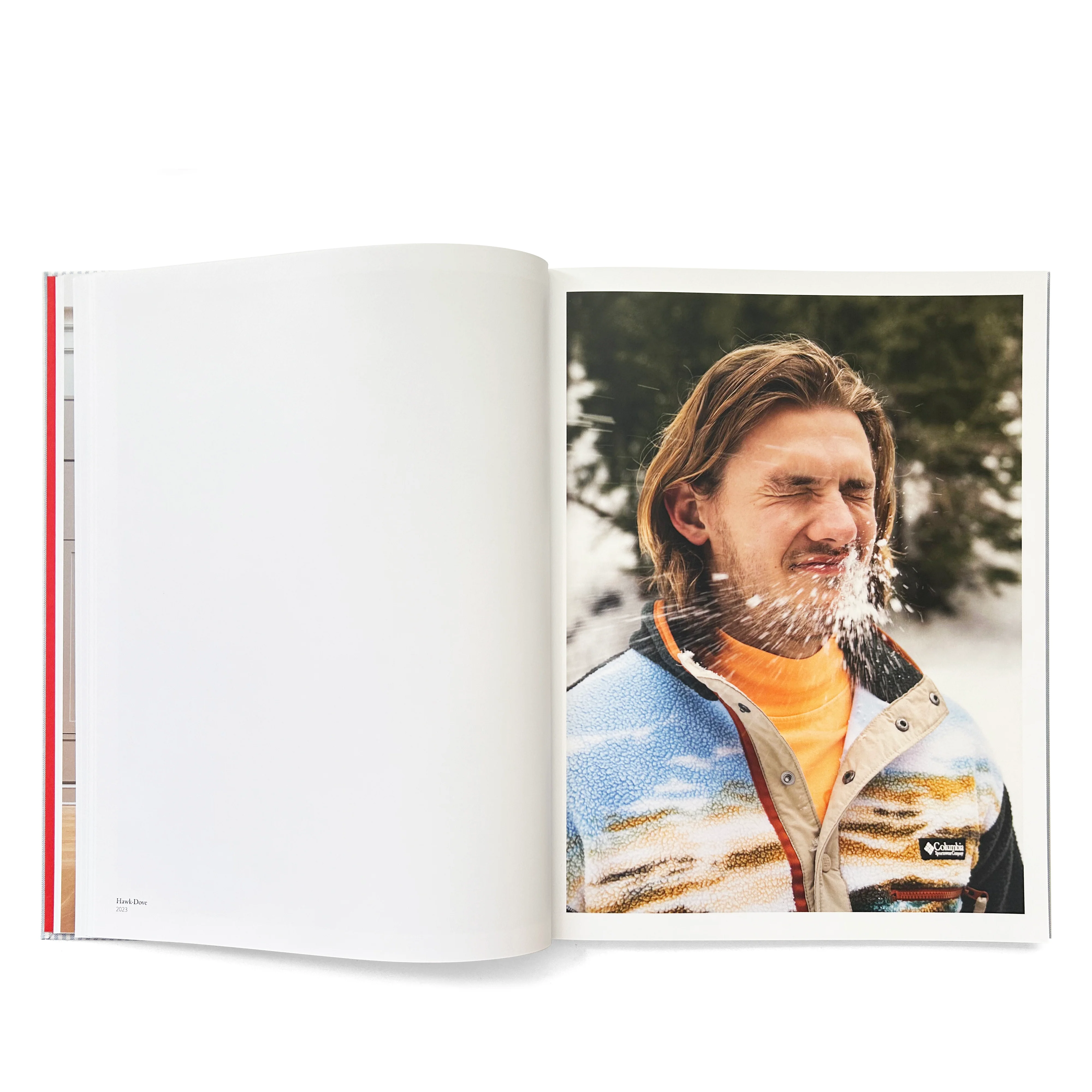 Idea - Buck Ellison: Risk - Image 7