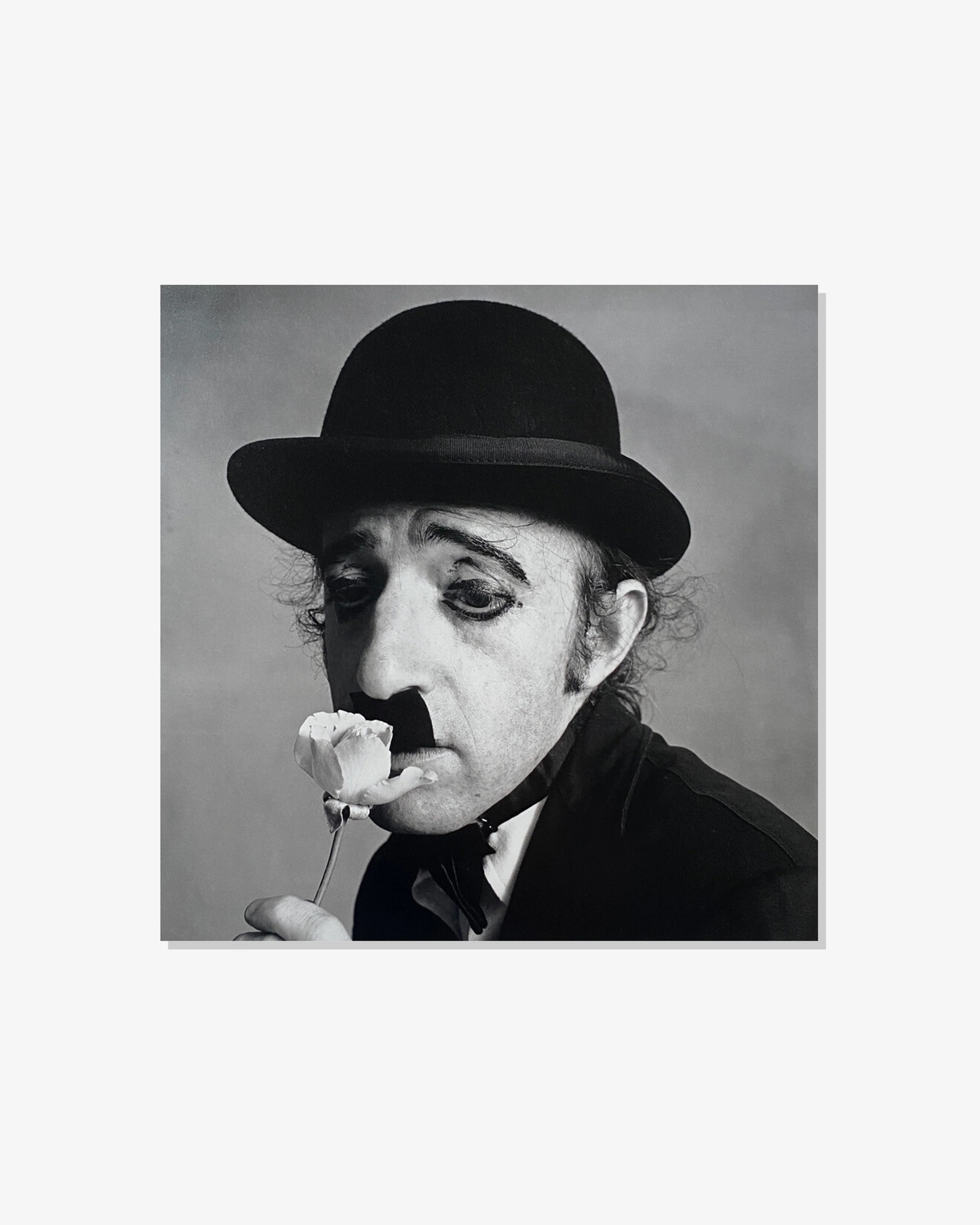 Idea - Irving Penn Passage - (Multi) - Image 4