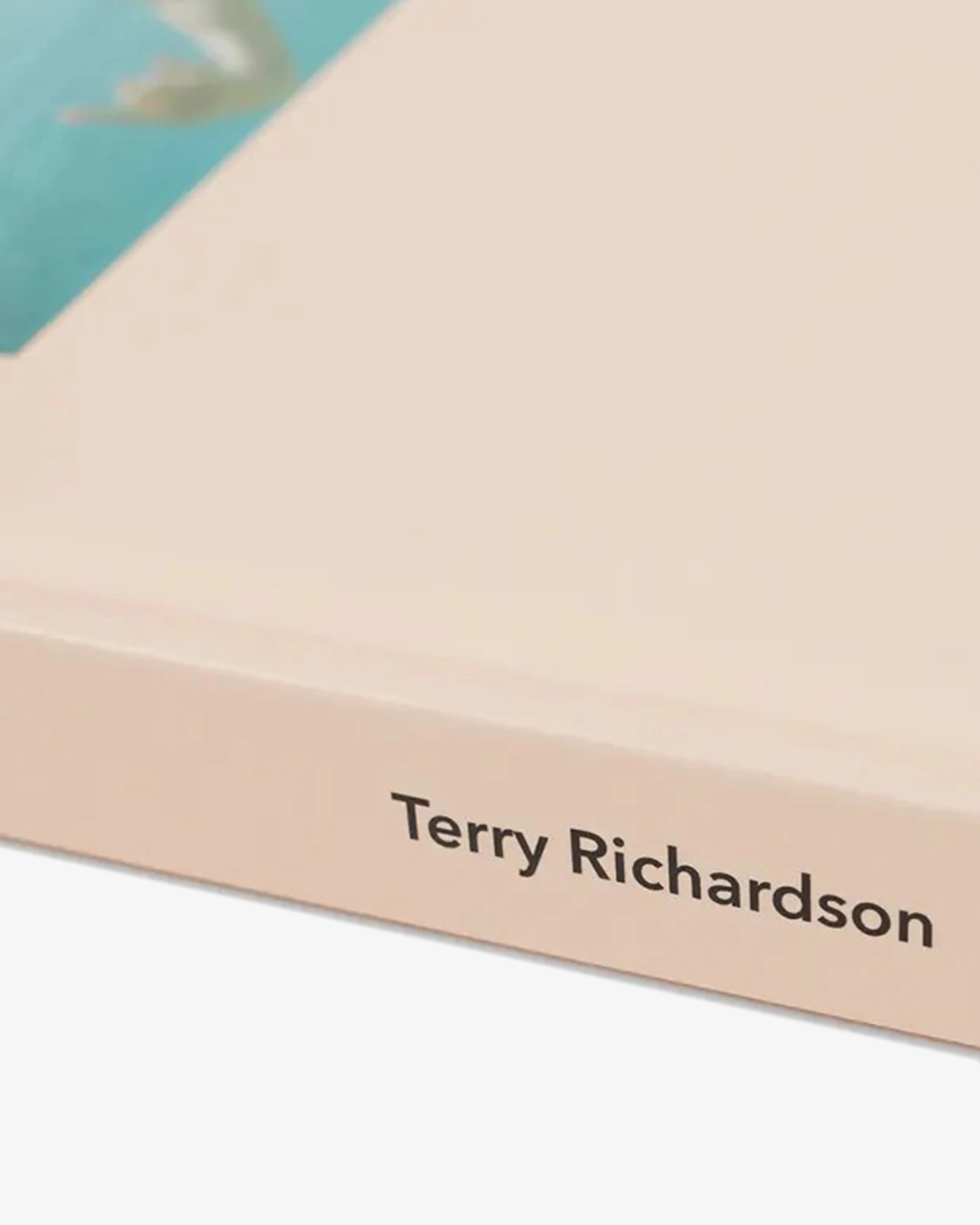 Idea - Terry Richardson Skinny Book - (Multi) - Image 2