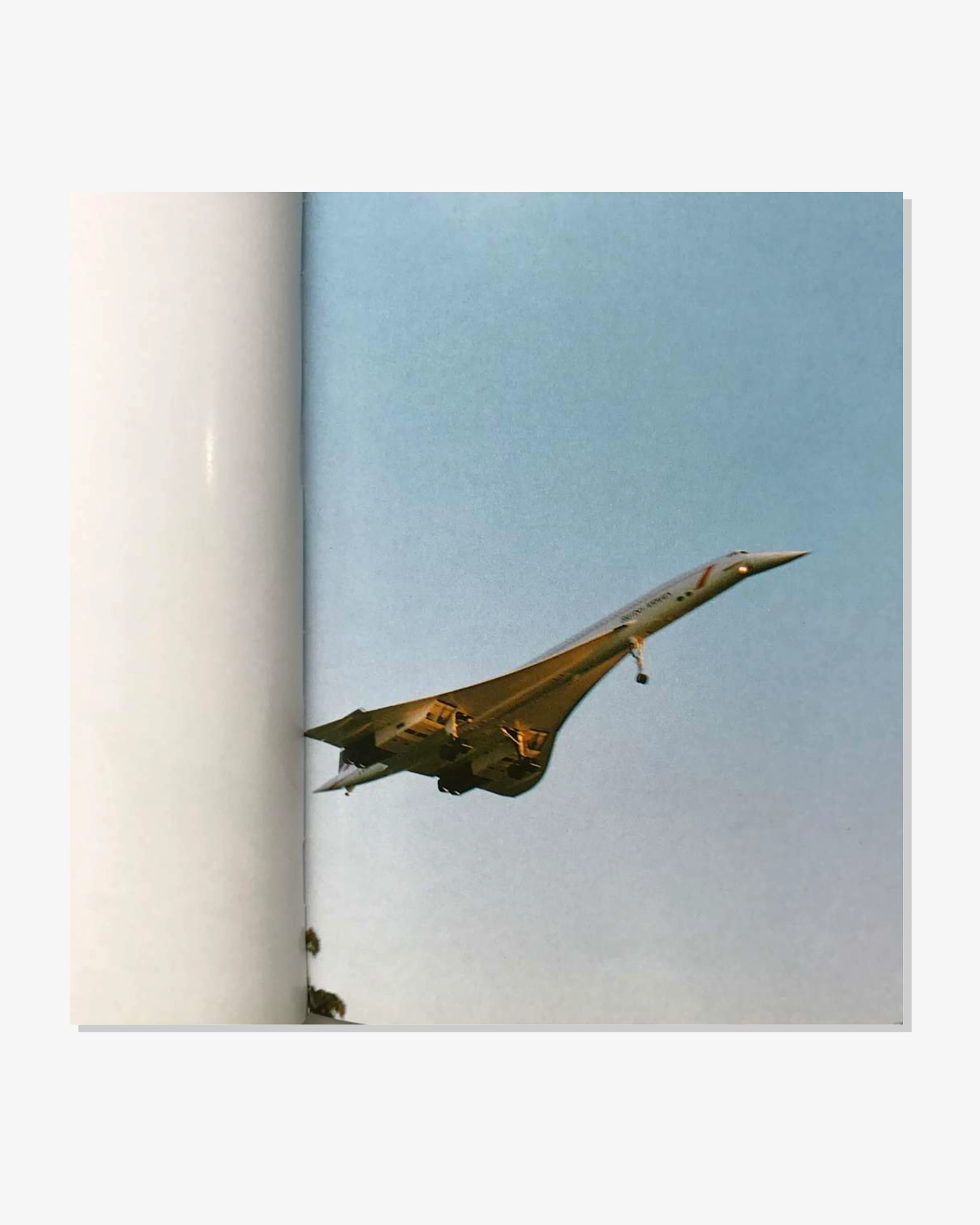 Idea - Wolfgang Tillmans Concorde - (Multi) - Image 2