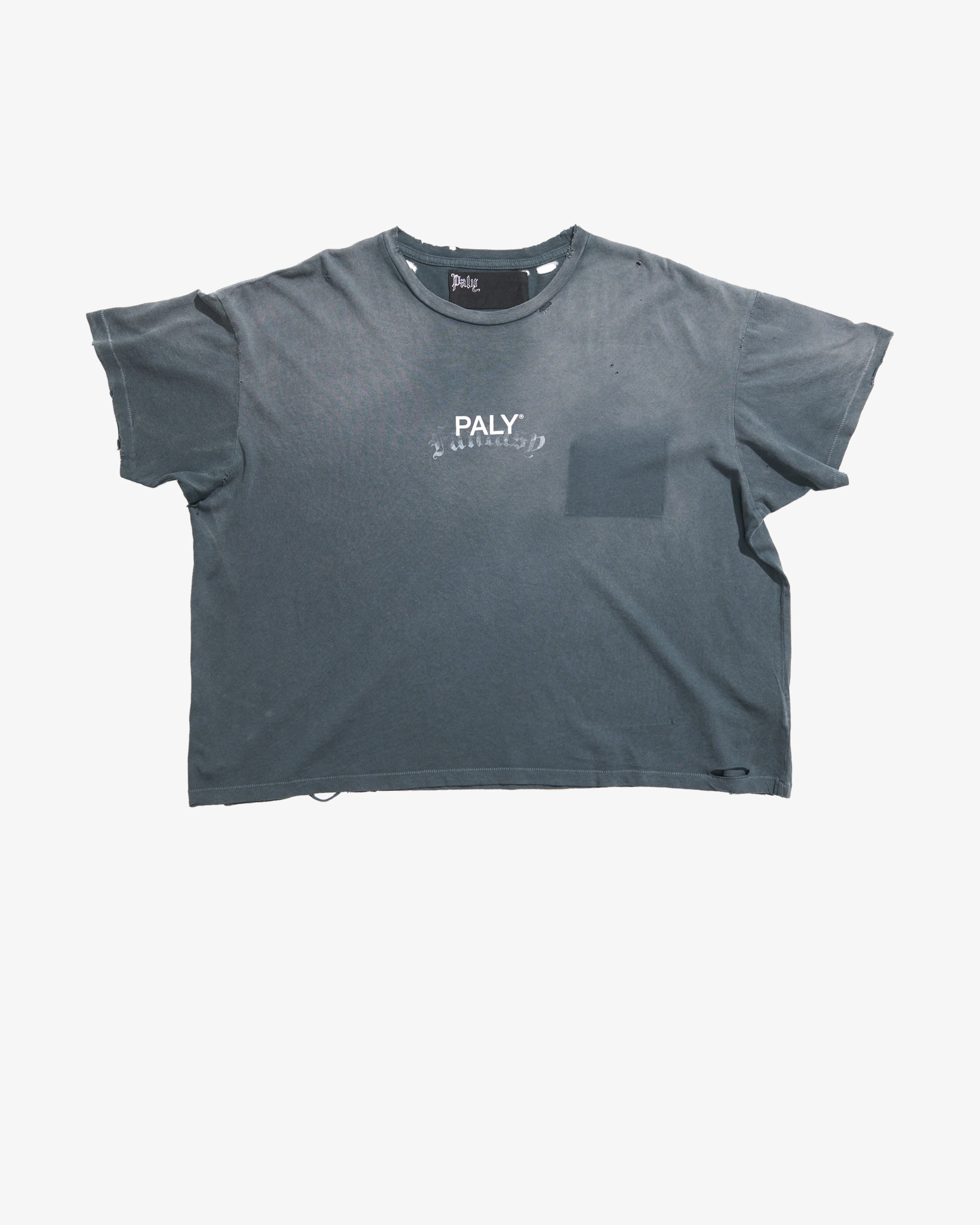 Paly - Men's Core Logo Tee - (Black)
