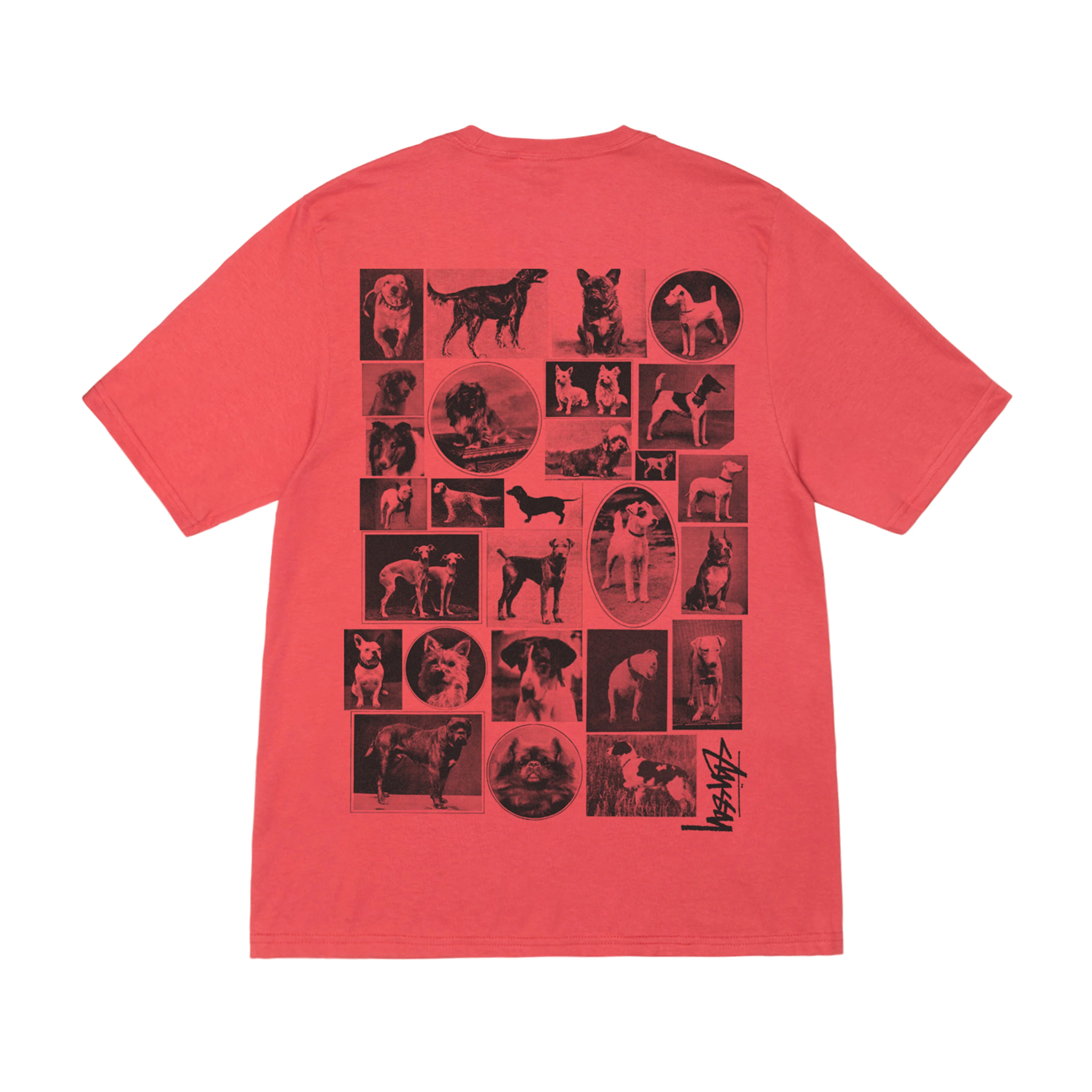 Stüssy - Dog Collage Tee - (Pepper)