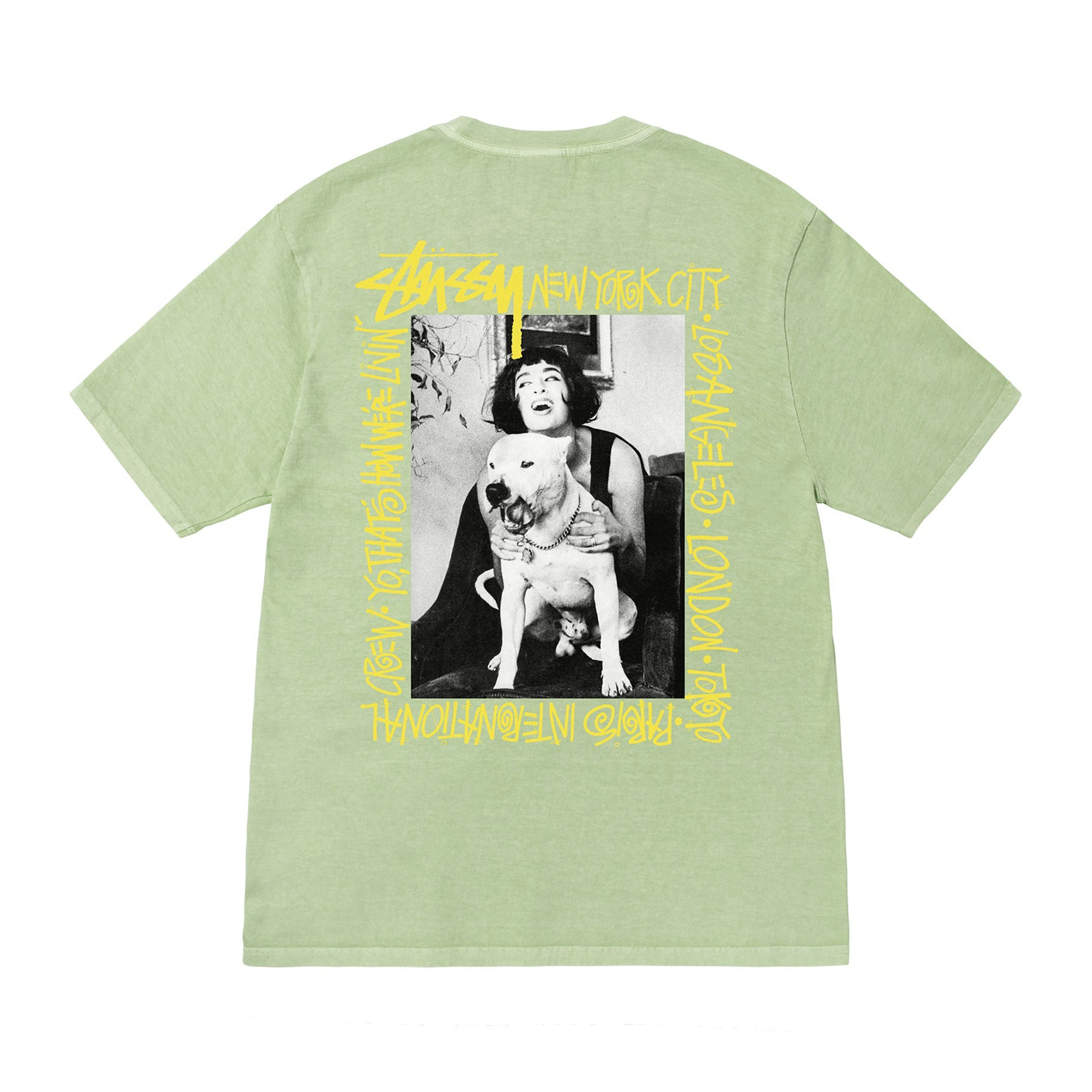 Stüssy - How We’re Livin’ Pig. Dyed Tee - (Sage)