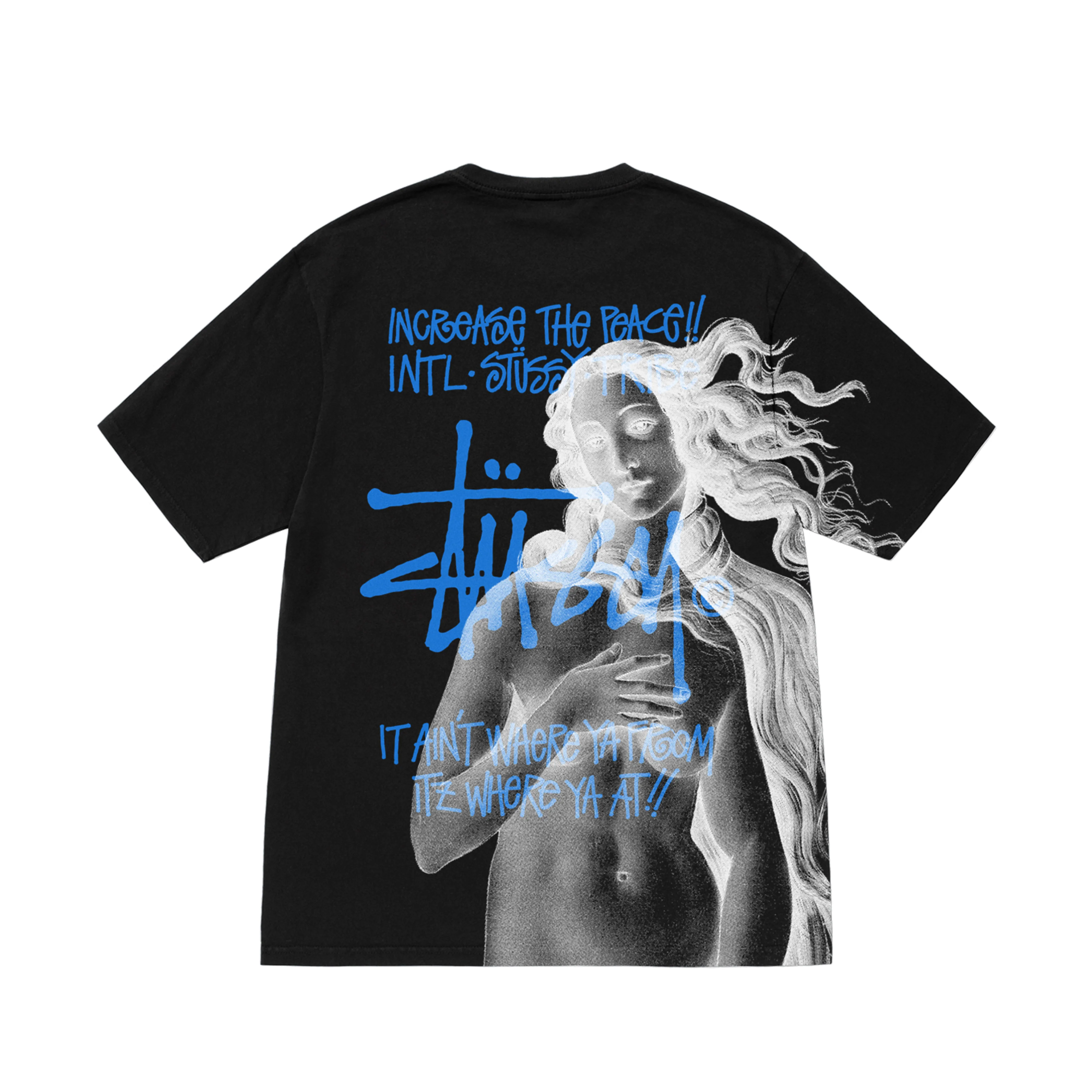 Stüssy - Men's Ist Venus Pig. Dyed Tee - (Black)