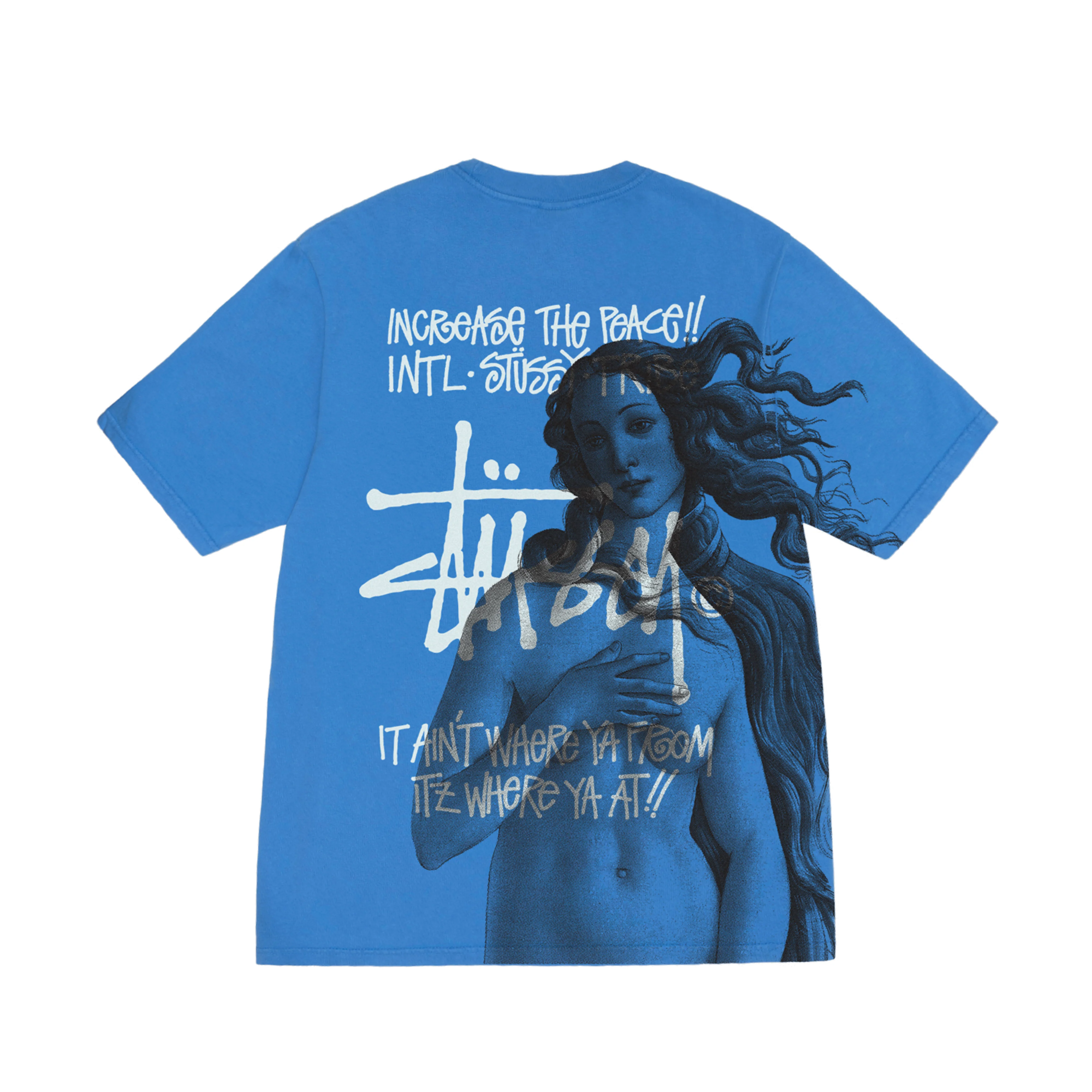 Stüssy - Men's Ist Venus Pig. Dyed Tee - (Blue)